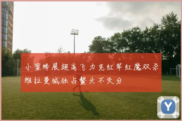 小蜜蜂展翅高飞力克红军红魔双杀维拉曼城独占鳌头不失分