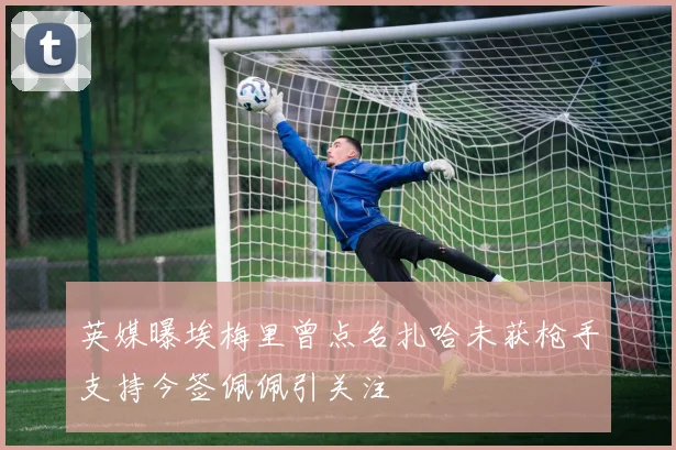 英媒曝埃梅里曾点名扎哈未获枪手支持今签佩佩引关注