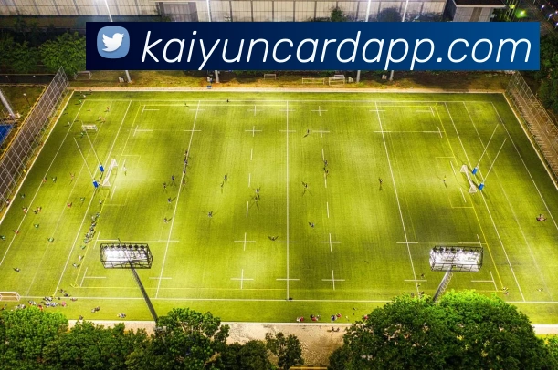 开云棋牌平台生态图