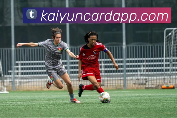 开云棋牌APP 封面图